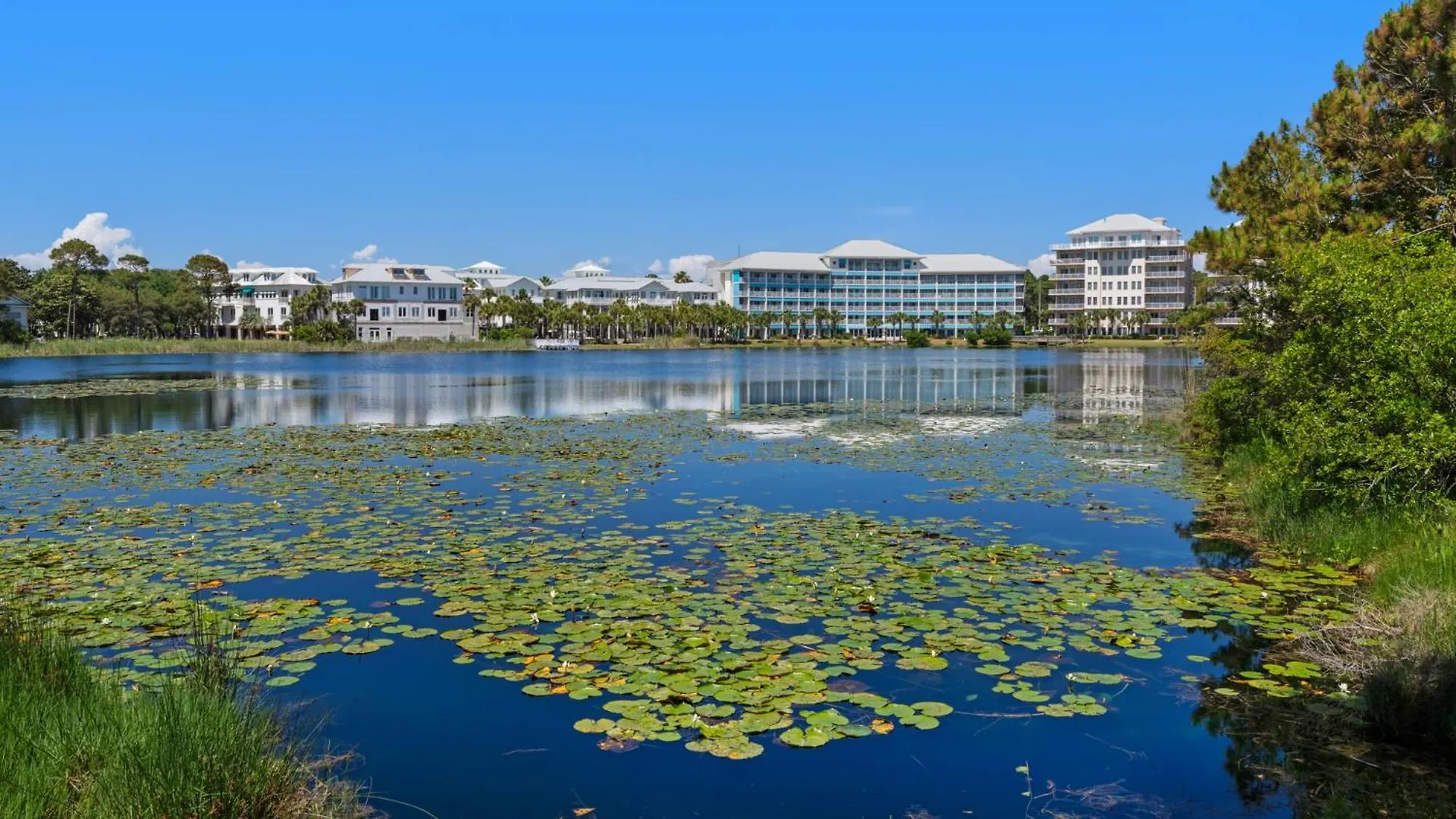 Walking On Sunshine - Benchmark Management Panama City Beach United States
